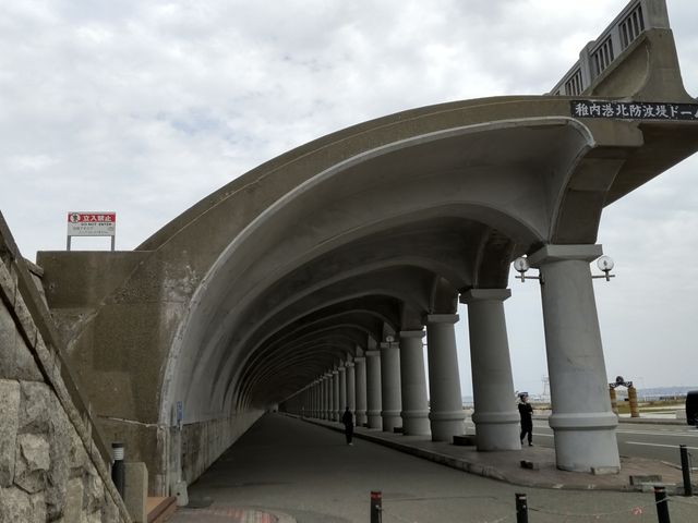 �A�[�`��_�t���`�k�h�g��h�[��