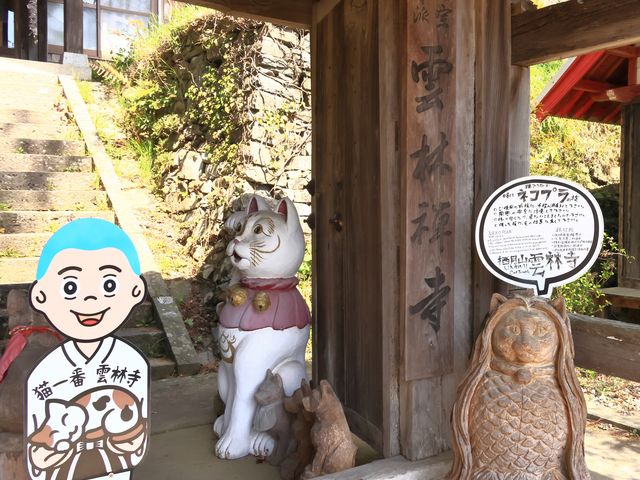 �L��ԁ@�_�ю�_�_�ю��i�l�R���j