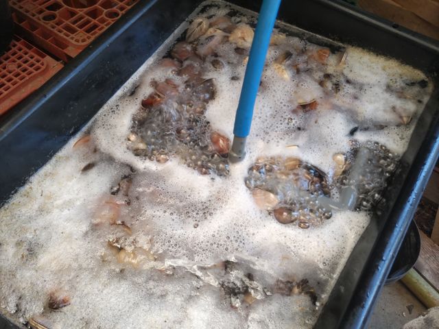 ͂܂łB͂܂ʒ܂AI_ÖƐH@Â