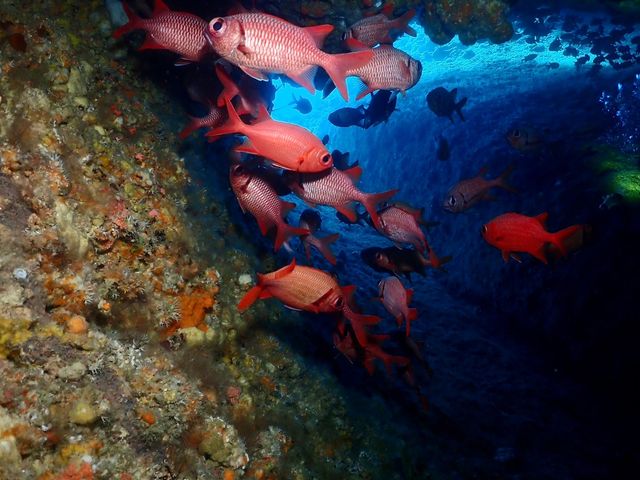 ���C�g�~�����ȁA�L�k�|�[�������������ȁB�~�������̂��h���h�������Ă����I�H_DS natura