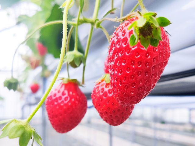 ���ꂢ�ȃn�E�X�ł����B_䕉� �݂̂���