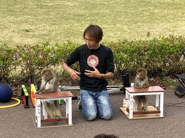 harusu̓̉w cvU̓eʐ^3