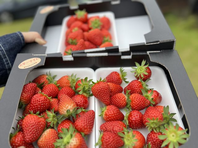 �n�E�X���ł͐H�ׂ��܂���i�΁j
�����������ł���@�Â������ł��B_AGRICIA