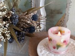 LhXN[zTwin@Tail̎ʐ^2