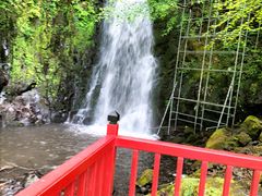 �s���L�[����̋㐌�k�ւ̓��e�ʐ^1