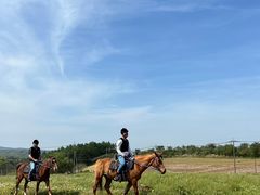 gb`Riding Club Jobardߐ{ւ̓eʐ^1