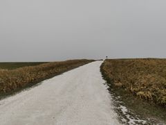 ������[����̏@�J�u�˂ւ̓��e�ʐ^1