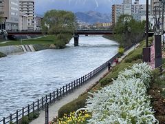 ܂񂳂̖ki茧sjւ̓eʐ^1