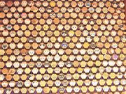 Ƃ񂳂̉_юilRj̓eʐ^7