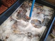 񂽂̌ÖƐH@Â̓eʐ^1