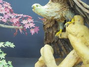 񂳂̒ÐsόēEɂ킢Yق̓eʐ^14