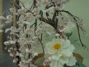 񂳂̒ÐsόēEɂ킢Yق̓eʐ^15