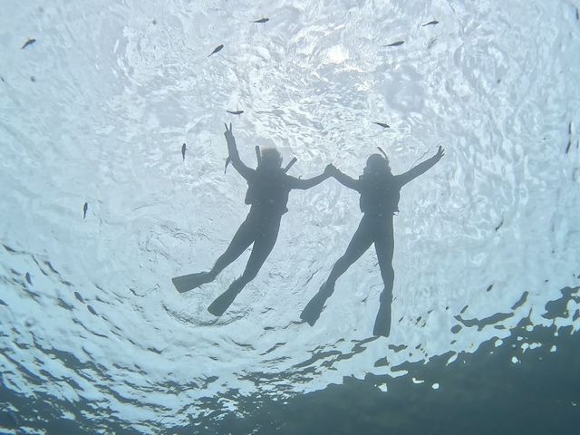 �Y�킷���܂����I_�J�m�A�_�C�u Kanoa Dive