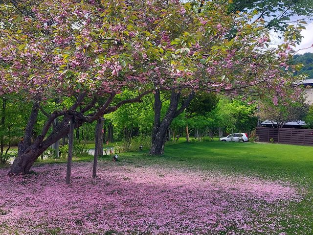 ��J���������āA�����`&����̂���́A�Ő��̏�ɍ����O�~_�x┌Ή���