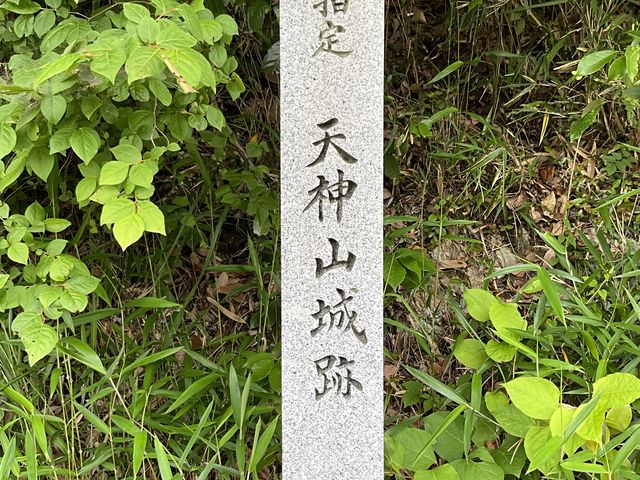 Shota����̓V�_�R��Ղ̓��e�ʐ^1