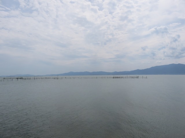 ���i_����