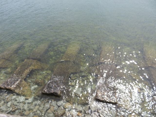 ���i_����