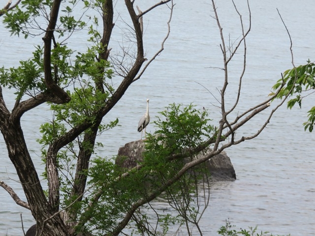 ���i_����