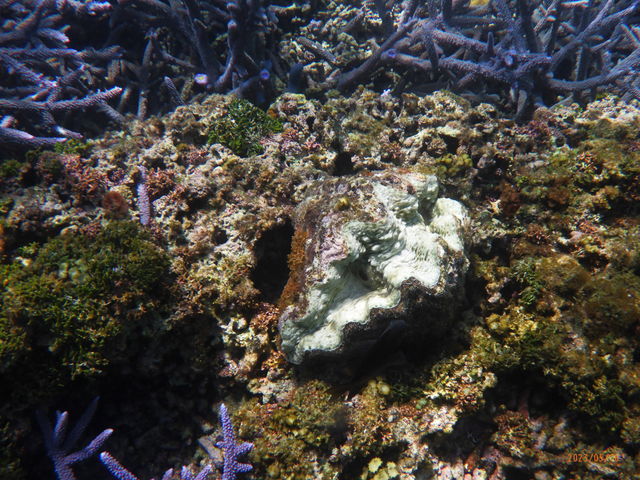 VRKCiJĐǂoĂ܂j_ɗǕ@Y~[