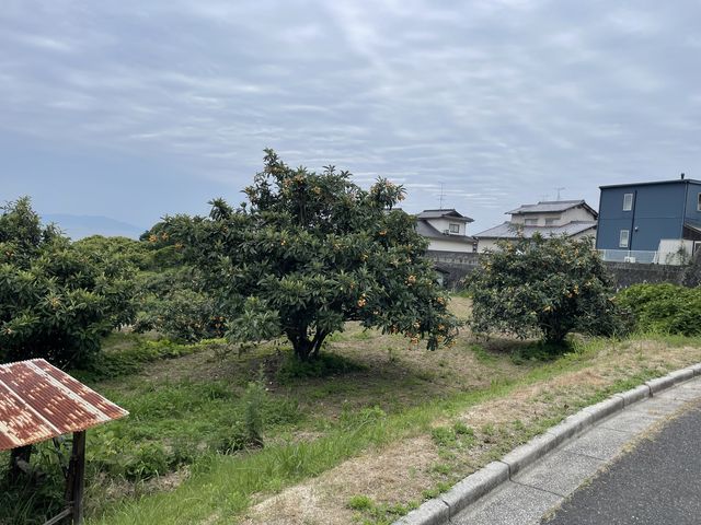 �S�̕��i_���R�Ȃ�����