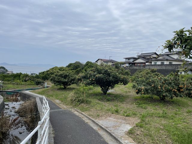 �S�̕��i_���R�Ȃ�����