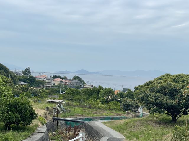 ���n���猩���鐣�˓��C_���R�Ȃ�����