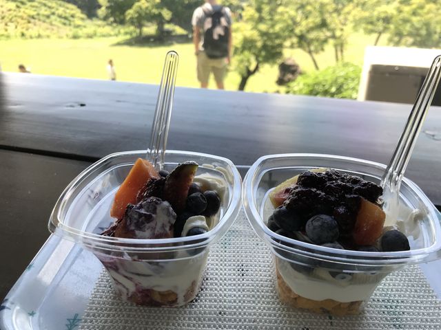 �������ڎ��I����ɒ������A�C�X�ɂ́A�u���[�x���[�A�L�E�C�t���[�c�A�ȂǑ�R�ʕ����̂��Ă܂����B_��]�̋u�_��