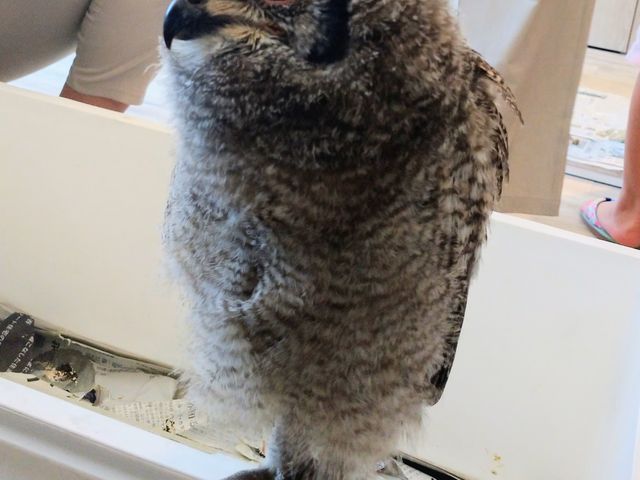 ��3_�ӂꂠ���J�t�F ���ӂ肱����