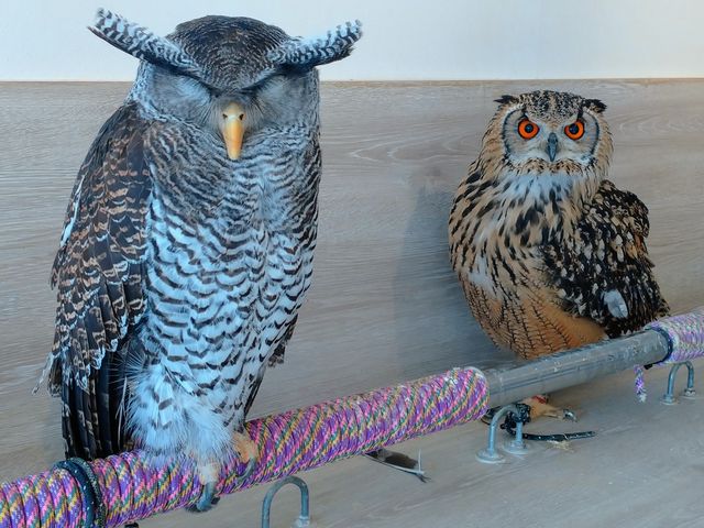 �܂������H_�ӂꂠ���J�t�F ���ӂ肱����