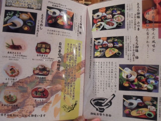 �i����_���R�������@����