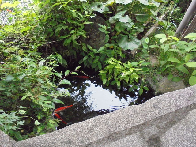 �~�j�뉀_���R�������@����