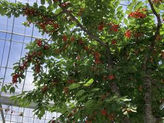 KEPPŐvۓc_ւ̓eʐ^1