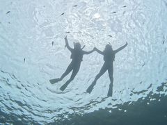 ݂̃JmA_Cu Kanoa Diveւ̓eʐ^1