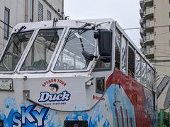 kyonkyon2KăI[voXwXJCoXxEpoXwXJC_bNxւ̓eʐ^1