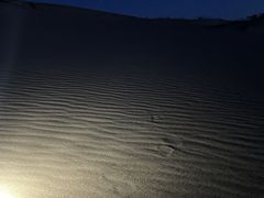 񂳂̂ƂƂόKChZ^[ւ̓eʐ^2