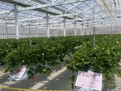 MUSASHĨqt@[ւ̓eʐ^1