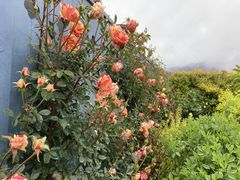 ܂񂳂̒VK[fYւ̓eʐ^2