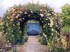 ܂񂳂̒VK[fYւ̓eʐ^3