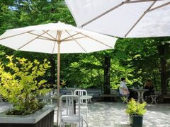 �a����̃i�X�E�V���E�]�E �J�t�F�ւ̓��e�ʐ^1