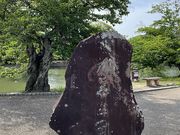 Shota̋،̍E̓eʐ^1