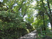 ܂[ނ炨̏隬É̓eʐ^2