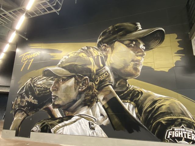 ����������������_�k�C���{�[���p�[�NF�r���b�W