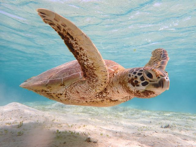 �ڂ̑O�ɃE�~�K���I_CHAMP TOUR �{�Ó�