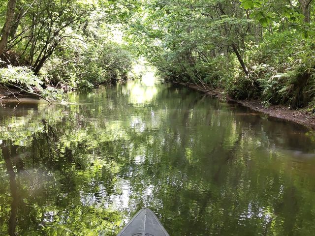 �_��I�ł���_�A�~���[�Y�X�|�[�c