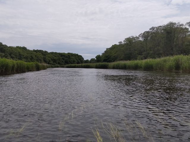 �n�߂͗Y��ȉ͐��̊��B_�A�~���[�Y�X�|�[�c