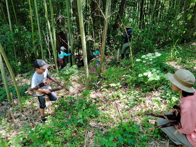 �q���ł����n�ł��܂���_�r�����h���R�m