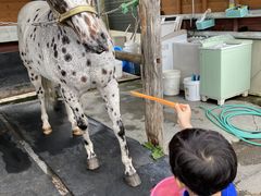 ݂̃A[Xh[pR_ւ̓eʐ^1