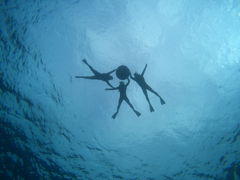 䂫̃}T[rXނʁ[ւ̓eʐ^1