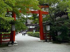 �������񂳂�̉����_�Ёi��Ό�c�_�Ёj�ւ̓��e�ʐ^1