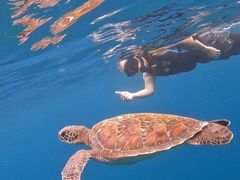 񂳂SHISHIΊ_ւ̓eʐ^1